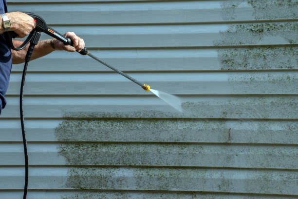 Best Residential House Exterior Washing  in USA